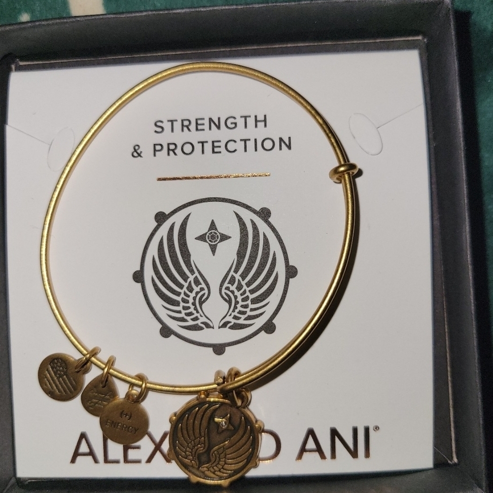 Alex and Ani Guardian Angel Charm Bangle Bracelet